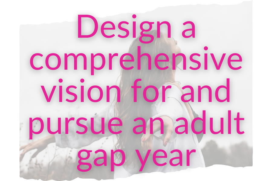 Design a comprehensive vision for and pursue an adult gap year